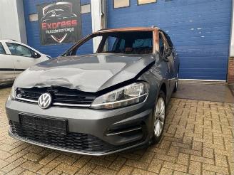 Volkswagen Golf Golf VII Variant (AUVV), Combi, 2013 / 2021 2.0 TDI 16V picture 1