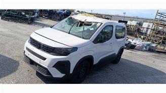 Vrakbiler auto Peugeot Rifter Rifter (ER/EC/EZ), MPV, 2018 e-Rifter 2025
