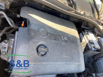 Volkswagen Golf Golf V (1K1), Hatchback, 2003 / 2010 1.4 16V picture 19