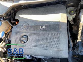 Volkswagen Golf Golf V (1K1), Hatchback, 2003 / 2010 1.4 16V picture 20