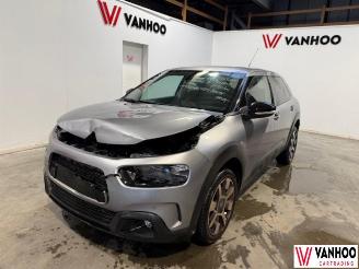 Citroën C4 CACTUS picture 1