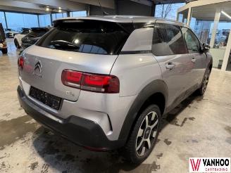 Citroën C4 CACTUS picture 8