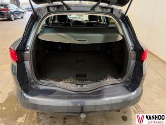 Renault Mégane  picture 10