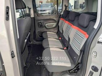 Citroën Berlingo XTR picture 19