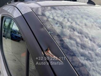 Citroën Berlingo XTR picture 30