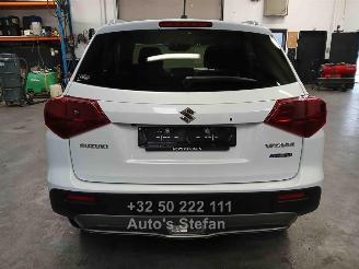 Suzuki Vitara  picture 5