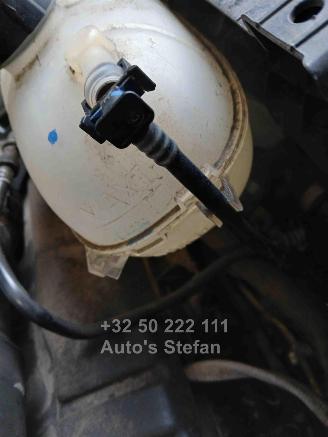 Nissan Primastar  picture 4