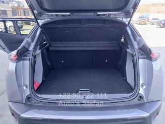 Peugeot 2008  picture 20