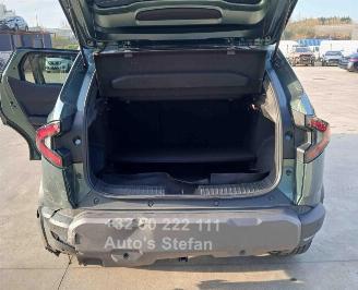 Dacia Duster JOURNEY picture 23