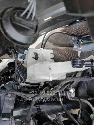 Nissan Juke BUSINESS ACCESS picture 32
