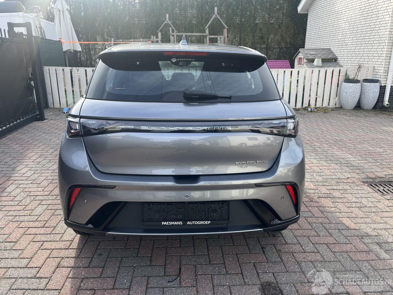 BYD Dolphin ELEKTRO LEDER-CAMERA-KLIMATRONIK