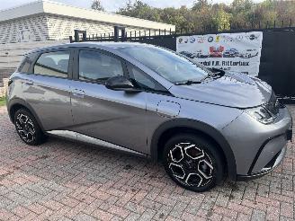 BYD Dolphin ELEKTRO LEDER-CAMERA-KLIMATRONIK picture 6