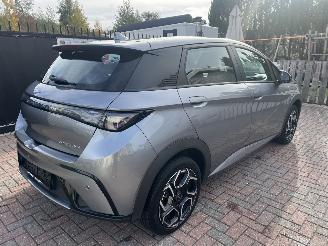 BYD Dolphin ELEKTRO LEDER-CAMERA-KLIMATRONIK picture 4