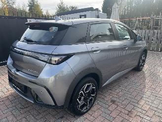 BYD Dolphin BEV 65kWh Design picture 3