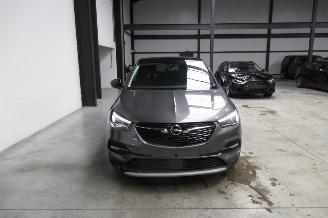 Opel Grandland SUV picture 7