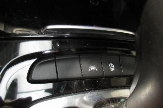 Opel Insignia SPORTS TOURER picture 28