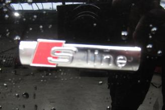 Audi Q5 SUV picture 20