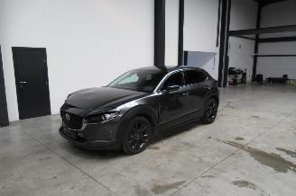 škoda osobní automobily Mazda CX-30 SUV 2023/9