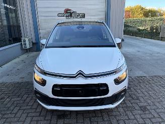 Citroën C4 Citroen c4 1.5d 2019 7 zit picture 3