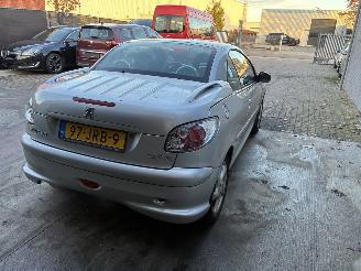 Peugeot 206 PEUGEOT 206cc 2004 1.6I picture 8