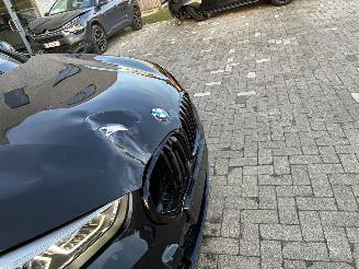 BMW X1 BMW X1 sDrive16d M 2021 picture 8