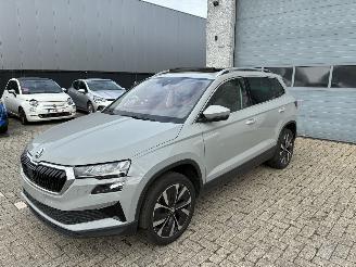 škoda osobní automobily Skoda Karoq SKODA KAROQ 2.0D DSG 2024 2024/3