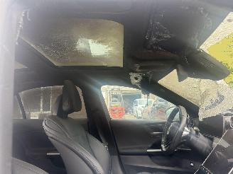 Mercedes C-klasse C300 AMG PANO picture 11