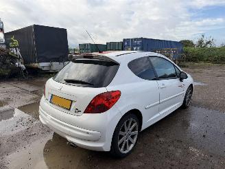 Peugeot 207 1.6-16V T Le Mans picture 7