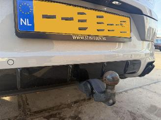 Porsche Cayenne E-HYBRID SPORT picture 14