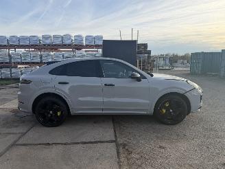 Porsche Cayenne E-HYBRID SPORT picture 8