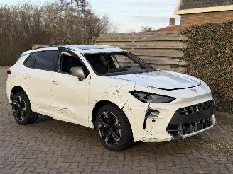 skadebil auto Cupra Terramar VZ 1.5 eTSI 110kw 2025/1