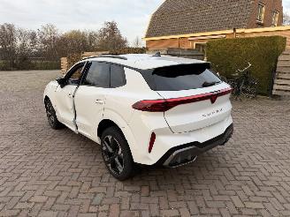 Cupra Terramar VZ 1.5 eTSI 110kw picture 26