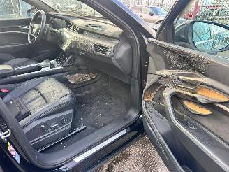 Audi E-tron 55 QUATTRO 95KWH PRO LINE PLUS picture 16