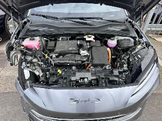 BYD Seal U DM-i 1.5 HYBRIDE picture 17