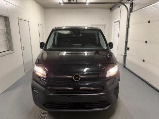 Opel Combo 2X CAMERA picture 2