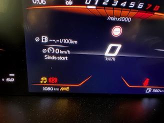 Seat Ibiza  picture 19