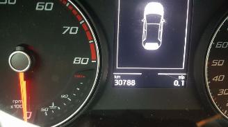 Seat Ibiza  picture 28