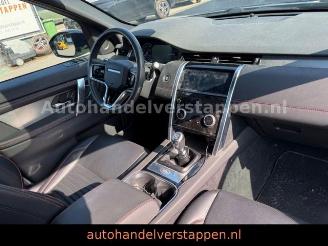 Land Rover Discovery Sport R-Dynamic S Leder Navi Panorama picture 14