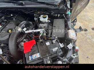 Ford Ranger Wildtrak e-4WDiesel Doppel Neu 2025 picture 27