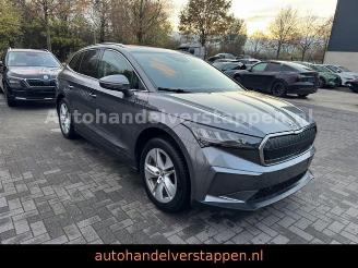 Skoda Enyaq 80 DAB+ Suite Convenience-Paket picture 1