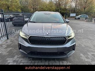 Skoda Enyaq 80 DAB+ Suite Convenience-Paket picture 3