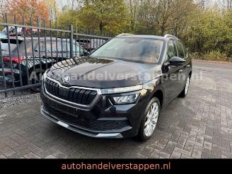 Skoda Kamiq Ambition 1.0TSI Clever 81KW picture 1