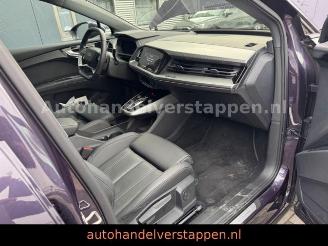 Audi Q4 e-tron 45 e-tron 195KW Quattro ADVANCED picture 18