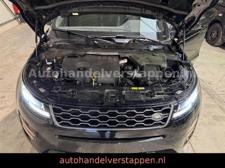Land Rover Range Rover Evoque S D165 Panorama picture 13