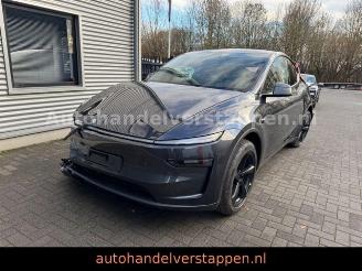  Tesla Model Y FACELIFT RWD CAM LEDER PANO 255KW 2025/11
