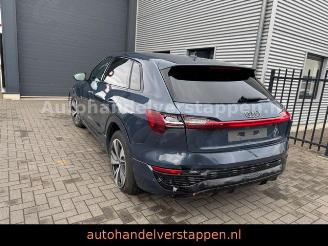 Audi Q8 e-tron 55 Quattro S line Panorama picture 3
