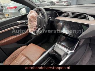 Audi Q8 e-tron 55 Quattro S line Panorama picture 21