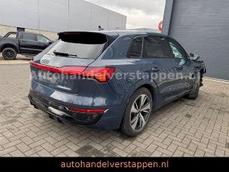 Damaged car Audi Q8 e-tron 55 Quattro S line Panorama 2023/9