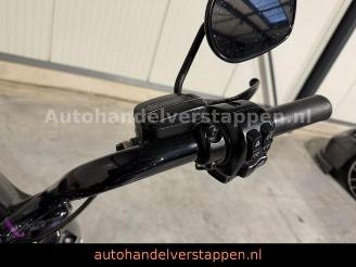 Harley-Davidson Road King Special - Krugger picture 8