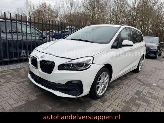  BMW 2-serie 18I Gran Coupé Advantage Automatik 7-sitzer 2020/3